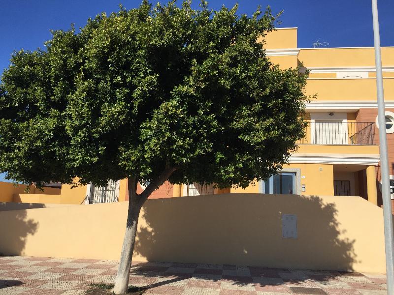 Apartamentos Playamar Roquetas de Mar Exterior foto